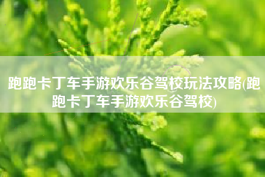跑跑卡丁车手游欢乐谷驾校玩法攻略(跑跑卡丁车手游欢乐谷驾校)