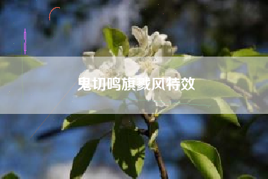 鬼切鸣旗戮风特效
