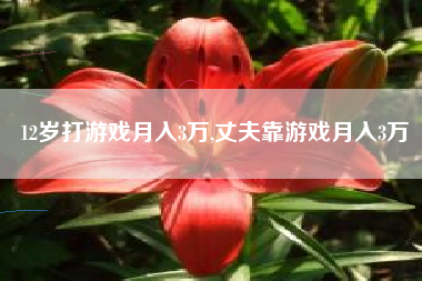12岁打游戏月入3万,丈夫靠游戏月入3万