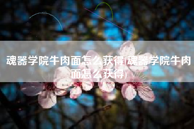 魂器学院牛肉面怎么获得(魂器学院牛肉面怎么获得)