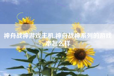 神舟战神游戏主机,神舟战神系列的游戏本怎么样