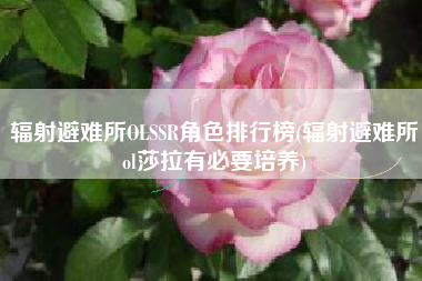 辐射避难所OLSSR角色排行榜(辐射避难所ol莎拉有必要培养)