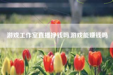 游戏工作室直播挣钱吗,游戏能赚钱吗