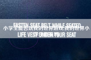 小学生能否玩我的世界游戏,我的世界小学生能玩吗