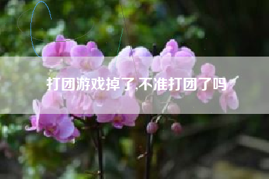 打团游戏掉了,不准打团了吗