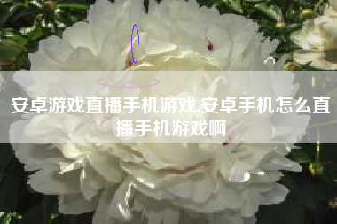 安卓游戏直播手机游戏,安卓手机怎么直播手机游戏啊