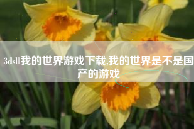 3dsll我的世界游戏下载,我的世界是不是国产的游戏