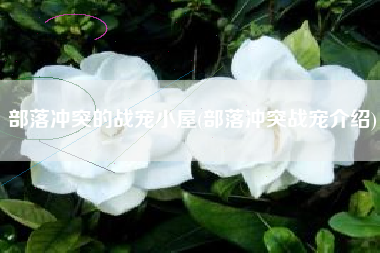部落冲突的战宠小屋(部落冲突战宠介绍)