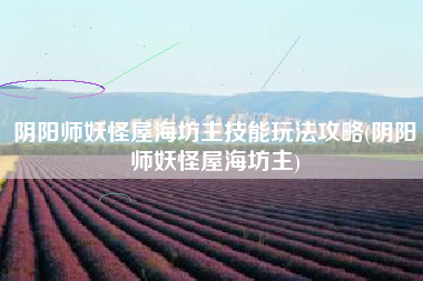 阴阳师妖怪屋海坊主技能玩法攻略(阴阳师妖怪屋海坊主)