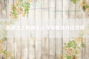 黑潮之上截图无法分享解决办法攻略