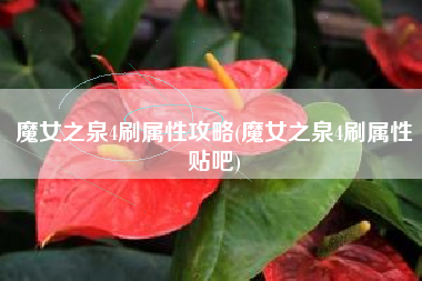 魔女之泉4刷属性攻略(魔女之泉4刷属性贴吧)