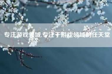 专注游戏领域,专注于游戏领域的任天堂