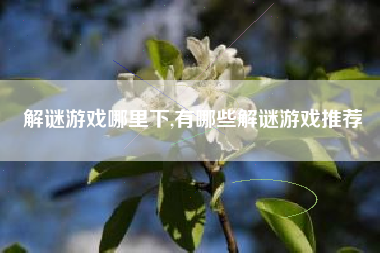 解谜游戏哪里下,有哪些解谜游戏推荐