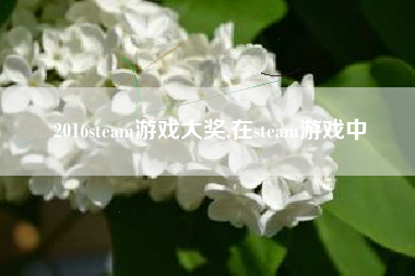 2016steam游戏大奖,在steam游戏中