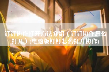 钉钉协作打开方法介绍（钉钉协作怎么打开）(电脑版钉钉怎么打开协作)