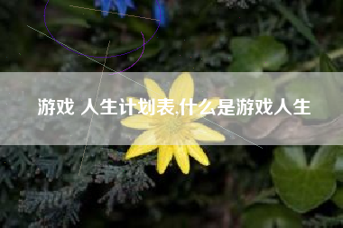游戏 人生计划表,什么是游戏人生