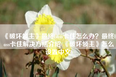 《破坏领主》最终boss卡住怎么办？最终boss卡住解决方法介绍(《破坏领主》怎么设置中文)
