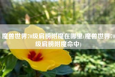 魔兽世界70级肩膀附魔在哪里(魔兽世界70级肩膀附魔命中)
