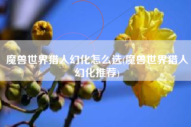 魔兽世界猎人幻化怎么选(魔兽世界猎人幻化推荐)