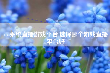ios系统直播游戏平台,选择哪个游戏直播平台好