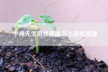 小神先生游戏直播,怎么游戏直播