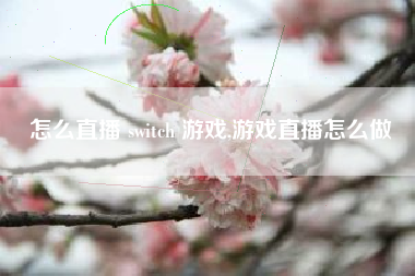 怎么直播 switch 游戏,游戏直播怎么做