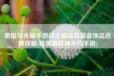 黑暗与光明手游战士加点及装备饰品选择攻略(暗黑破坏神不朽手游)