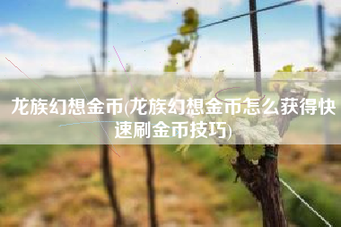 龙族幻想金币(龙族幻想金币怎么获得快速刷金币技巧)
