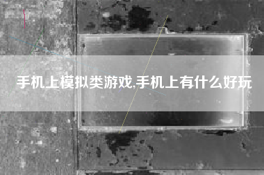 手机上模拟类游戏,手机上有什么好玩