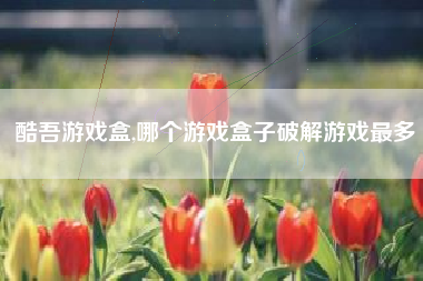 酷吾游戏盒,哪个游戏盒子破解游戏最多