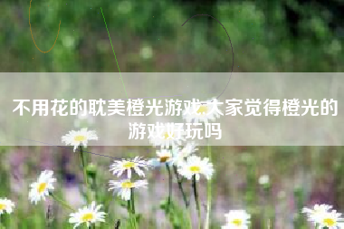不用花的耽美橙光游戏,大家觉得橙光的游戏好玩吗