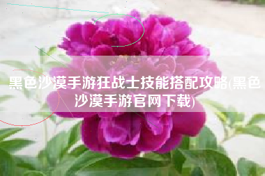 黑色沙漠手游狂战士技能搭配攻略(黑色沙漠手游官网下载)