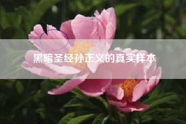 黑暗圣经孙正义的真实样本