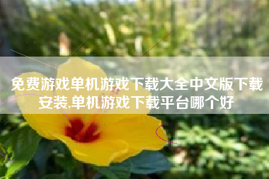 免费游戏单机游戏下载大全中文版下载安装,单机游戏下载平台哪个好
