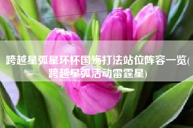 跨越星弧星环杯国殇打法站位阵容一览(跨越星弧活动雷霆星)