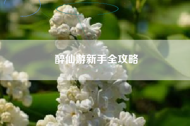 醉仙游新手全攻略