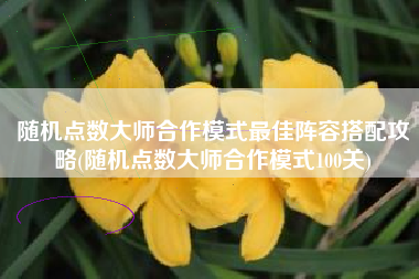 随机点数大师合作模式最佳阵容搭配攻略(随机点数大师合作模式100关)