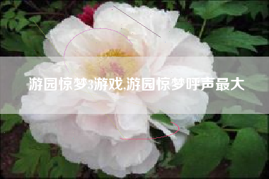 游园惊梦3游戏,游园惊梦呼声最大