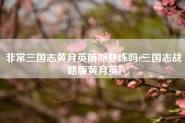 非常三国志黄月英前期要练吗(三国志战略版黄月英)