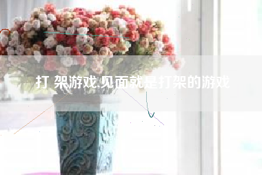 打 架游戏,见面就是打架的游戏