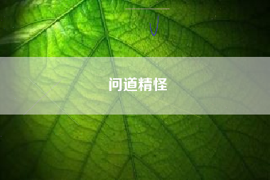 问道精怪