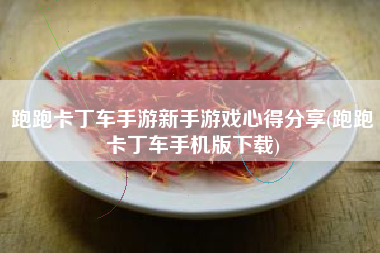 跑跑卡丁车手游新手游戏心得分享(跑跑卡丁车手机版下载)