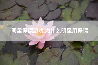 明星保镖游戏,为什么明星用保镖