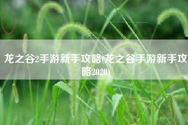 龙之谷2手游新手攻略(龙之谷手游新手攻略2020)