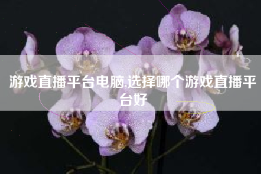 游戏直播平台电脑,选择哪个游戏直播平台好