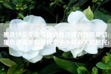 黑色沙漠手游寻找消息灵通者任务攻略(黑色沙漠手游寻找个子小耳朵大的居民)