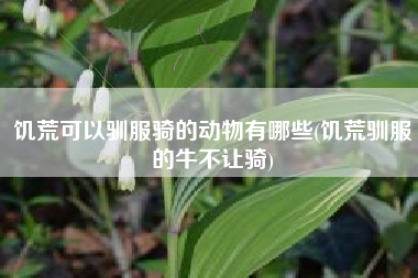 饥荒可以驯服骑的动物有哪些(饥荒驯服的牛不让骑)