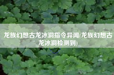 龙族幻想古龙冰洞指令异闻(龙族幻想古龙冰洞检测到)