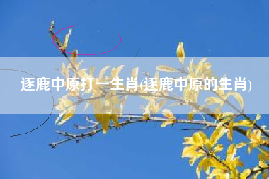 逐鹿中原打一生肖(逐鹿中原的生肖)