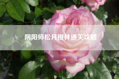 阴阳师松月樱林通关攻略